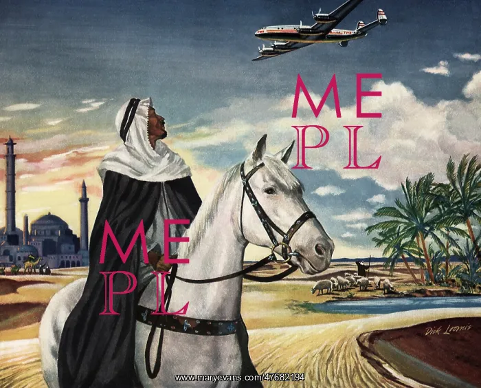  : Man, Desert, and Plane