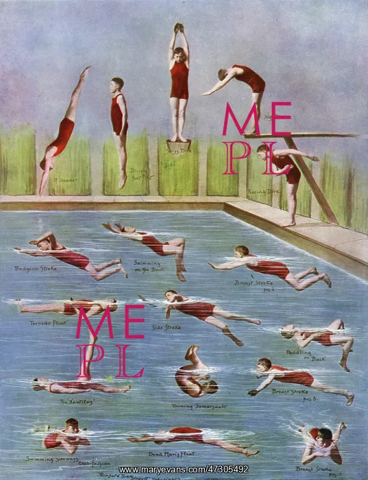 : Man diving and swimming : Man diving and swimming