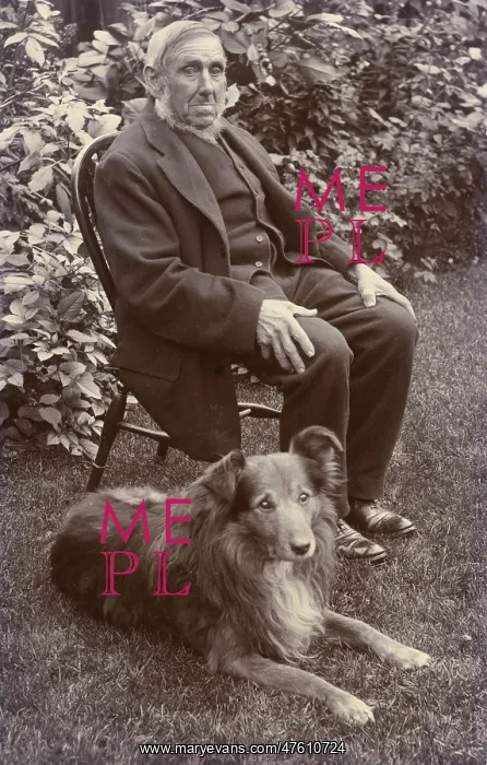 : Man with a dog in a garden : Man with a dog in a garden