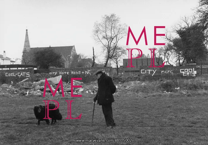 : Man and dog in a grassy area, Manchester : Man and dog in a grassy area, Manchester