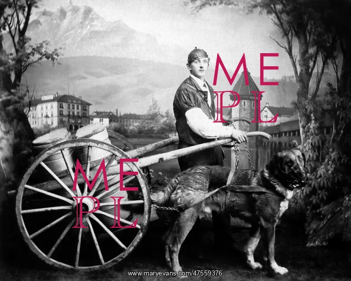 : Man and dog with milk cart : Man and dog with milk cart