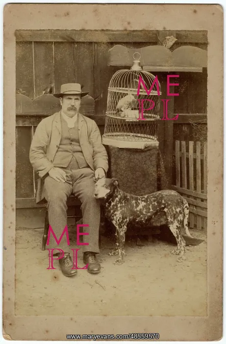: Man with dog and parrot : Man with dog and parrot