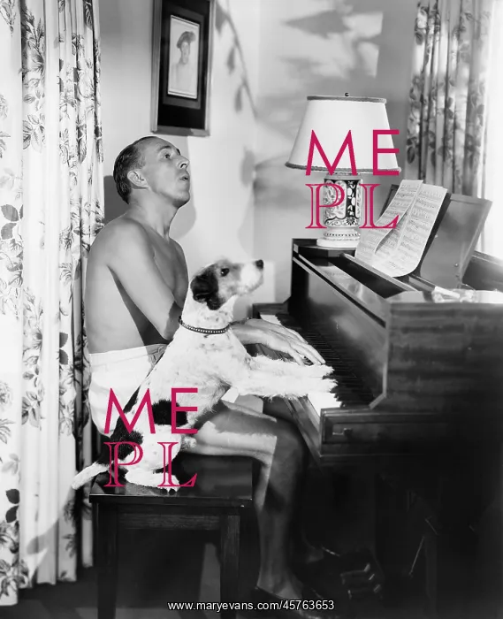 : Man and dog playing the piano : Man and dog playing the piano