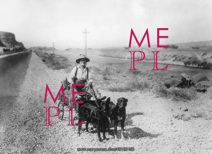 : Man with dog team, 1933 : Man with dog team, 1933