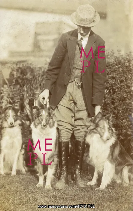  : Man with three dogs in a garden