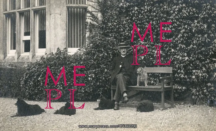 : Man and four dogs outside a large house : Man and four dogs outside a large house
