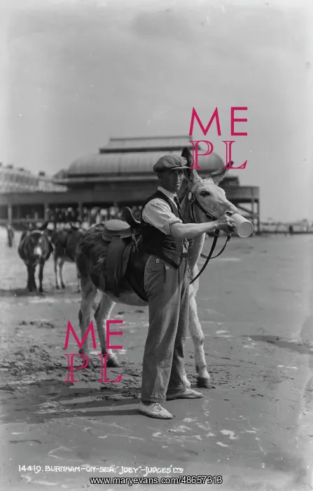 : Man with a Donkey on the Beach : Man with a Donkey on the Beach