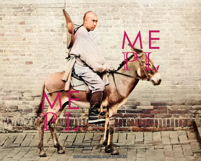  : Man on a donkey, China