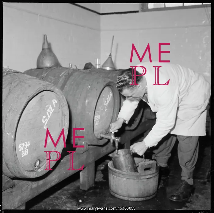 : A man drawing a sample of beer from a barrel : A man drawing a sample of beer from a barrel