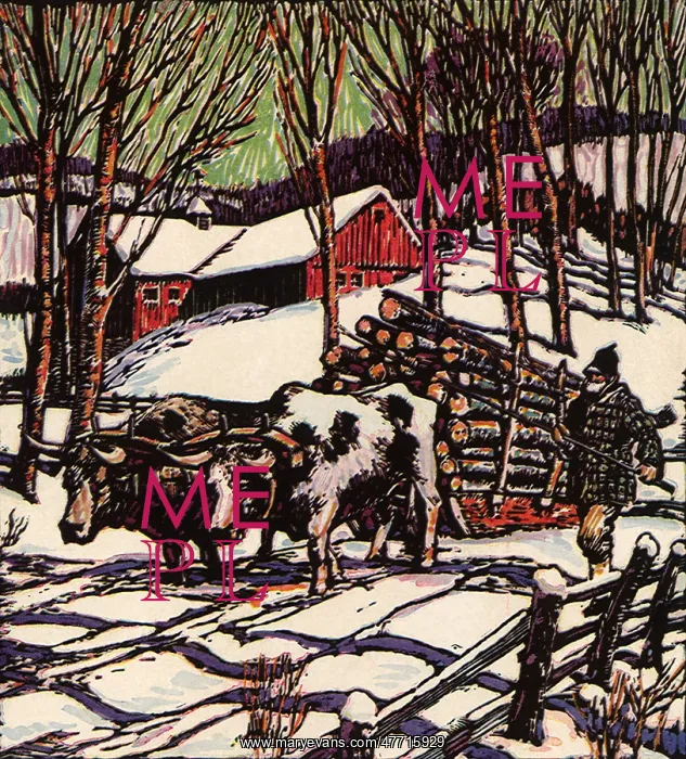  : Man Drives Team of Oxen