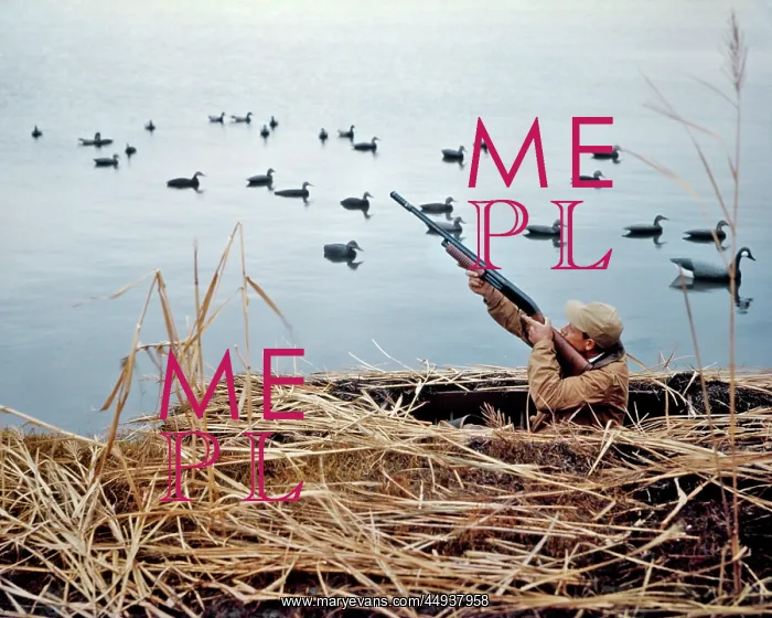 : Man Duck Hunter Shooting at Ducks with Shotgun from : Man Duck Hunter Shooting at Ducks with Shotgun from