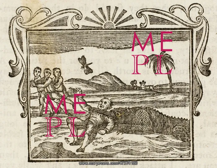 : Man Eaten by Crocodile : Man Eaten by Crocodile