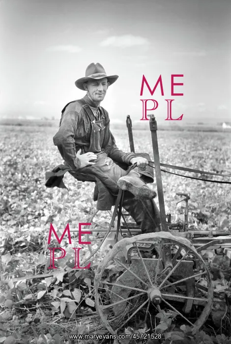 : Man - farmer - homesteader - occupations : Man - farmer - homesteader - occupations