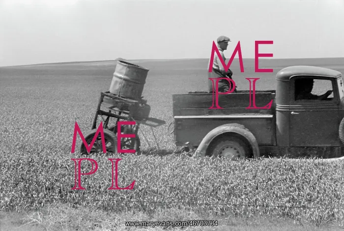 : Man - Farmer - Occupations - Agriculture : Man - Farmer - Occupations - Agriculture