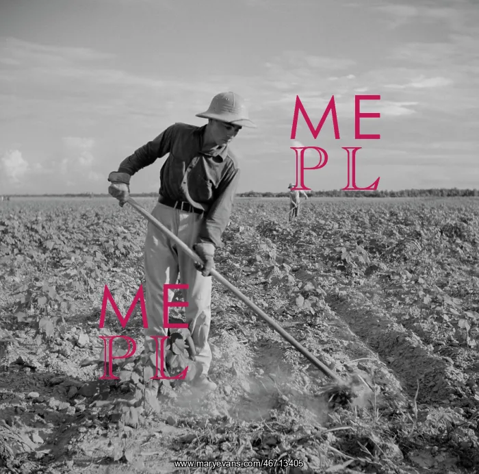 : Man - Farmer - Occupations - Agriculture : Man - Farmer - Occupations - Agriculture