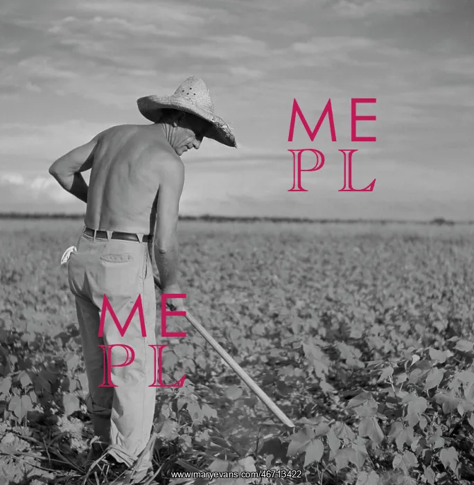 : Man - Farmer - Occupations - Agriculture : Man - Farmer - Occupations - Agriculture