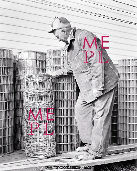 : Man Farmer Purchasing Roll of Hog Wire Fencing : Man Farmer Purchasing Roll of Hog Wire Fencing