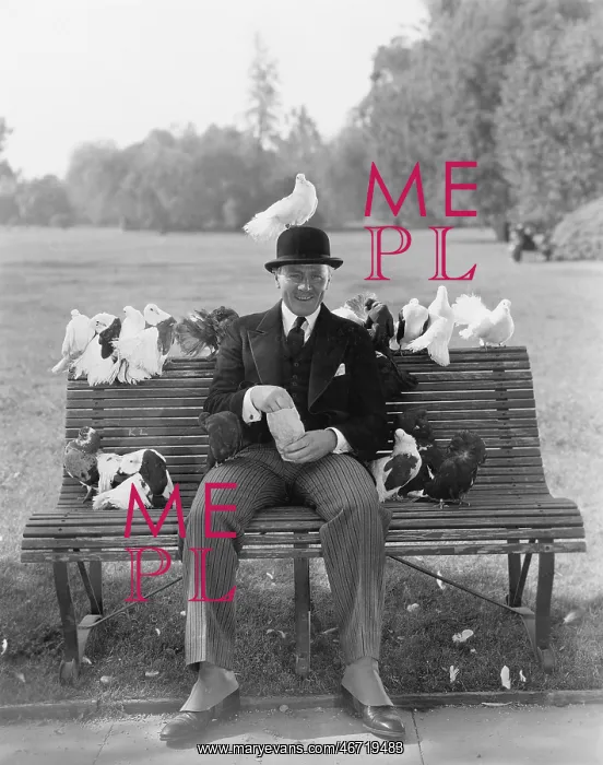  : Man feeding pigeons on park bench