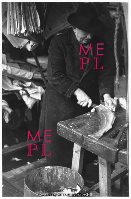 : A MAN FILLETING FISH : A MAN FILLETING FISH