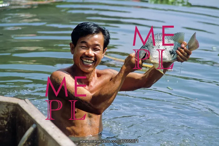: Man with fish, Bangkok : Man with fish, Bangkok