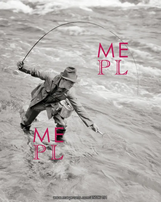 : Man Fisherman Standing in Stream Bending Over with Net : Man Fisherman Standing in Stream Bending Over with Net