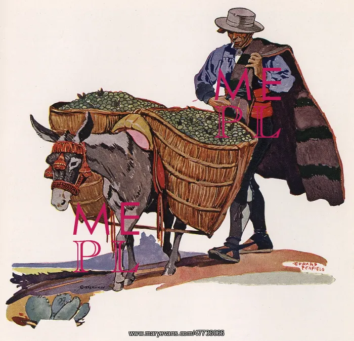  : Man follows Mule carrying Vegetables