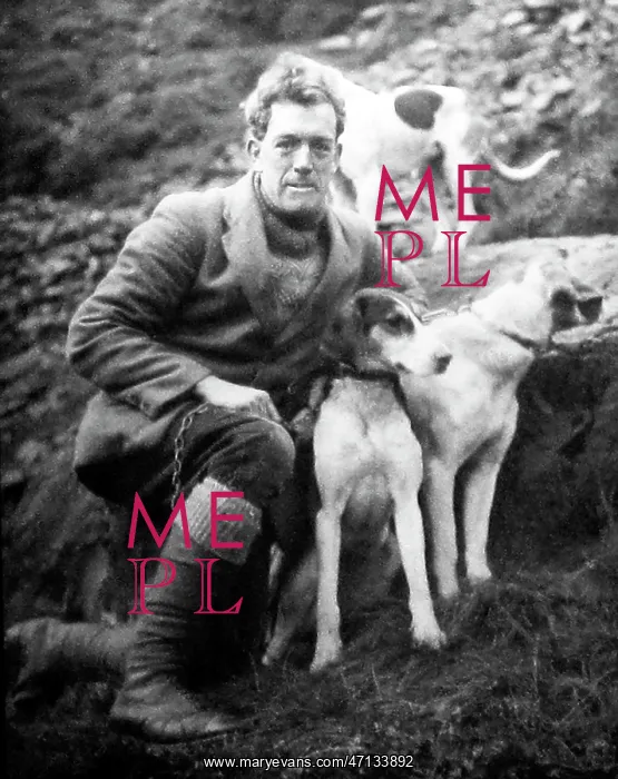  : man with foxhounds