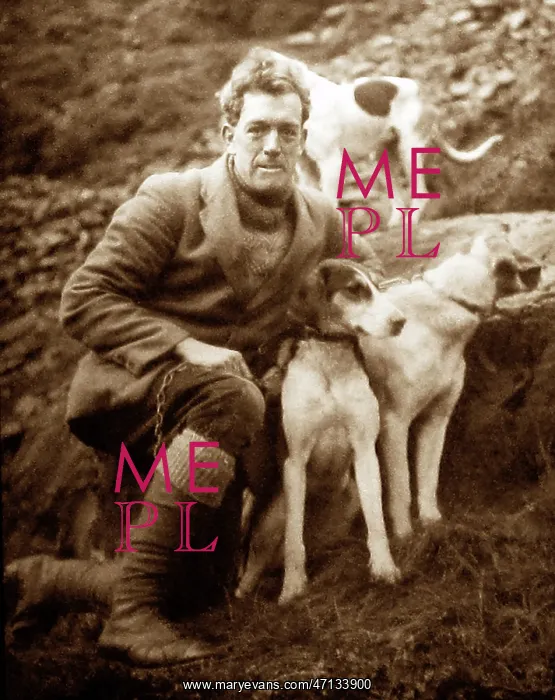  : man with foxhounds