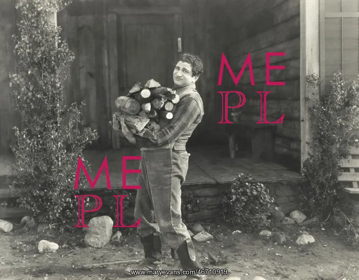 : Man gathering firewood : Man gathering firewood