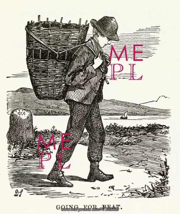 : Man gathering peat in Island of Skye : Man gathering peat in Island of Skye
