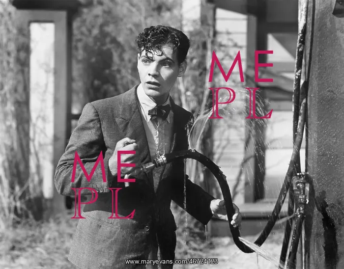 : Man getting all wet from a broken hose : Man getting all wet from a broken hose