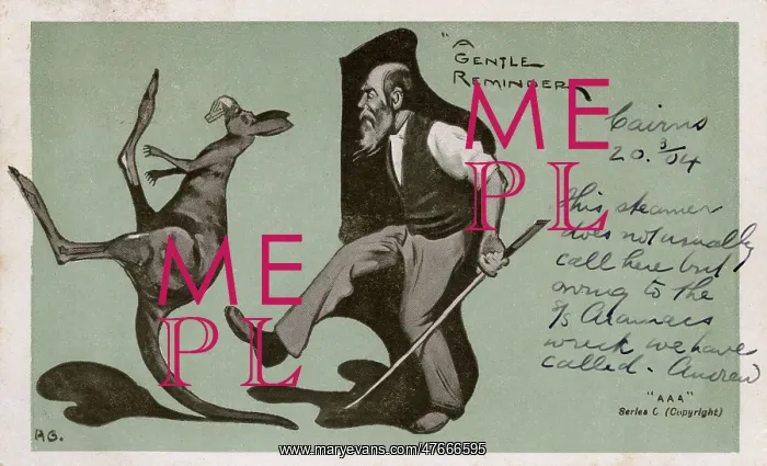 : Man giving a kangaroo the boot, Queensland, Australia : Man giving a kangaroo the boot, Queensland, Australia