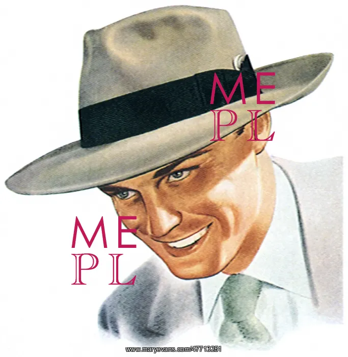  : Man in Gray Fedora