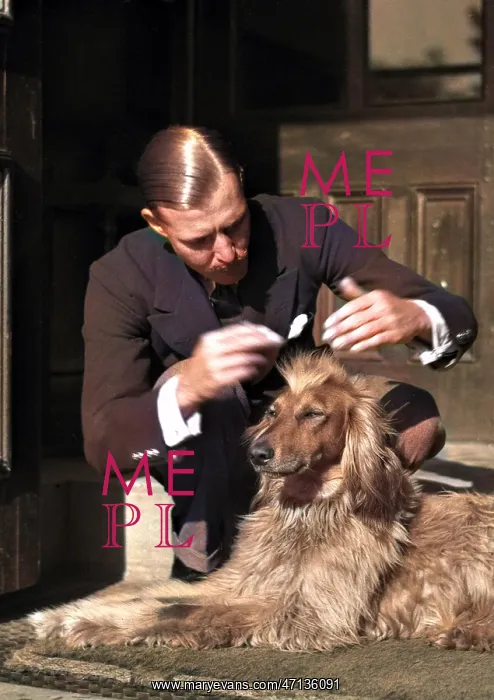  : Man grooming a dog