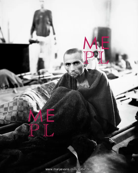 : man - holocaust - concentration camp - WW2 : man - holocaust - concentration camp - WW2
