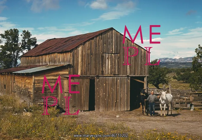 : Man - homesteader - barn - farm : Man - homesteader - barn - farm