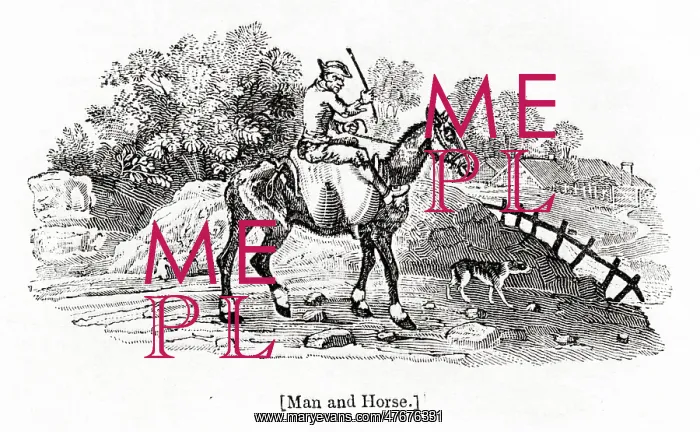 : Man and Horse, by Thomas Bewick : Man and Horse, by Thomas Bewick