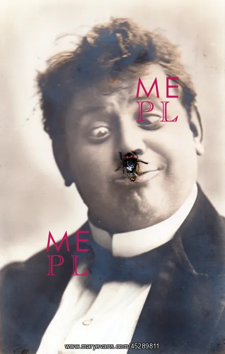  : Man with an insect on his nose on a novelty postcard