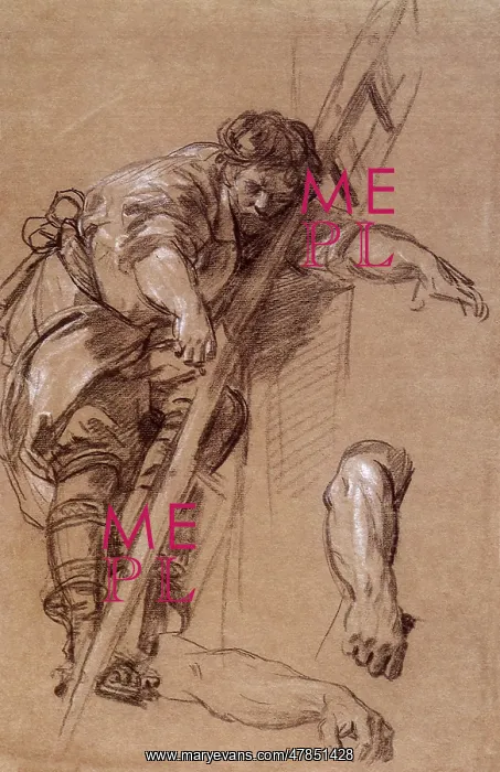  : Man on a Ladder