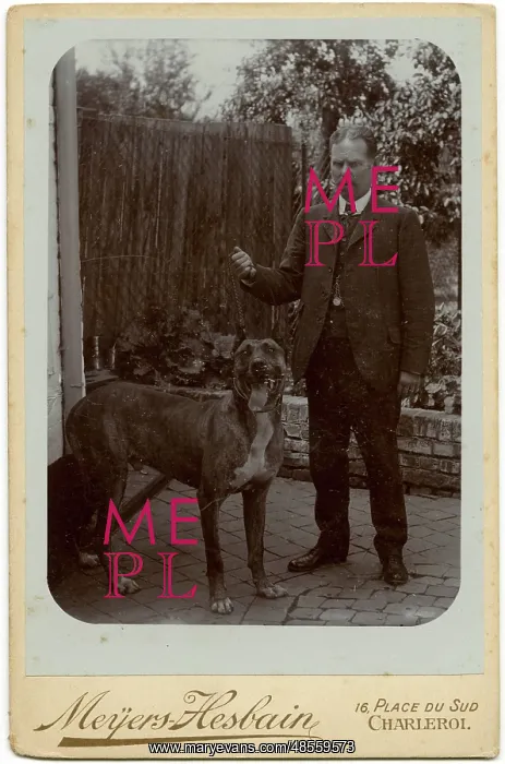  : Man with a large dog in a garden
