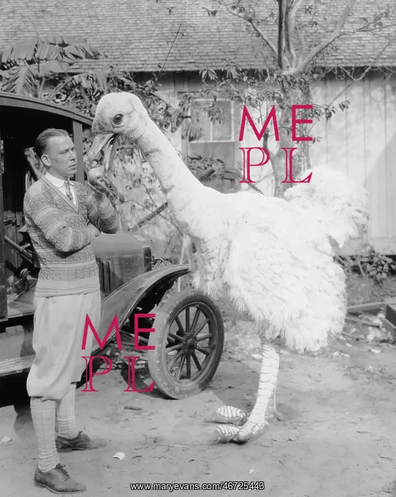  : Man with large fake ostrich
