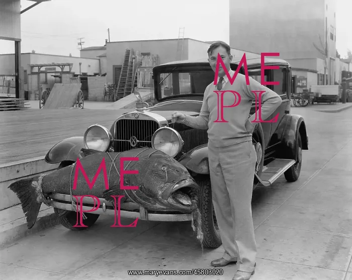  : Man with large fish tied to the front of his car