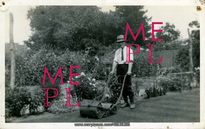  : Man with Lawnmower