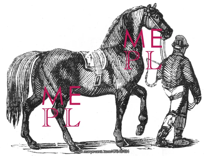 : Man leading a heavy carthorse, c.1810 : Man leading a heavy carthorse, c.1810