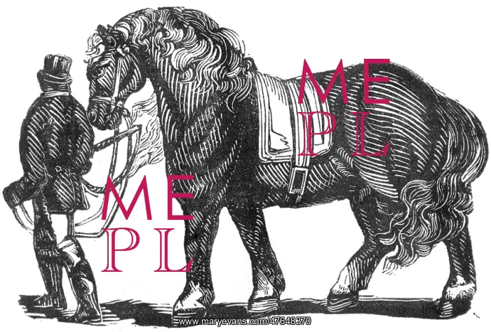 : Man leading a horse, c.1810 : Man leading a horse, c.1810
