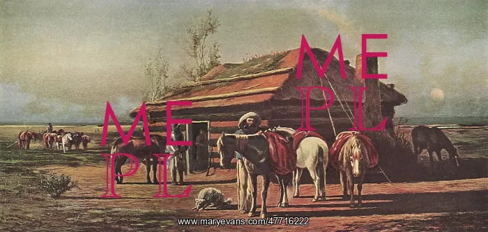  : Man Loading Packhorse