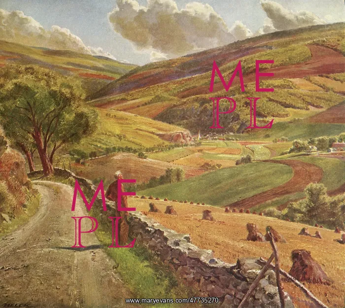 : Man looks over Rural Valley : Man looks over Rural Valley