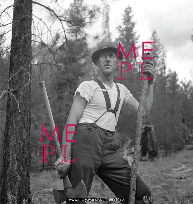 : Man - Lumberjack - Occupations - Worker : Man - Lumberjack - Occupations - Worker