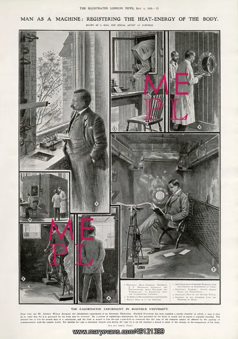 : Man as Machine. Registering the Heat-Energy of the Body : Man as Machine. Registering the Heat-Energy of the Body