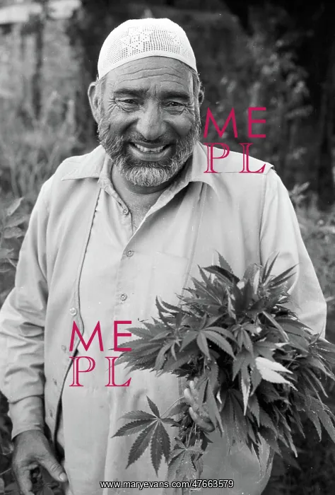 : Man with marijuana : Man with marijuana